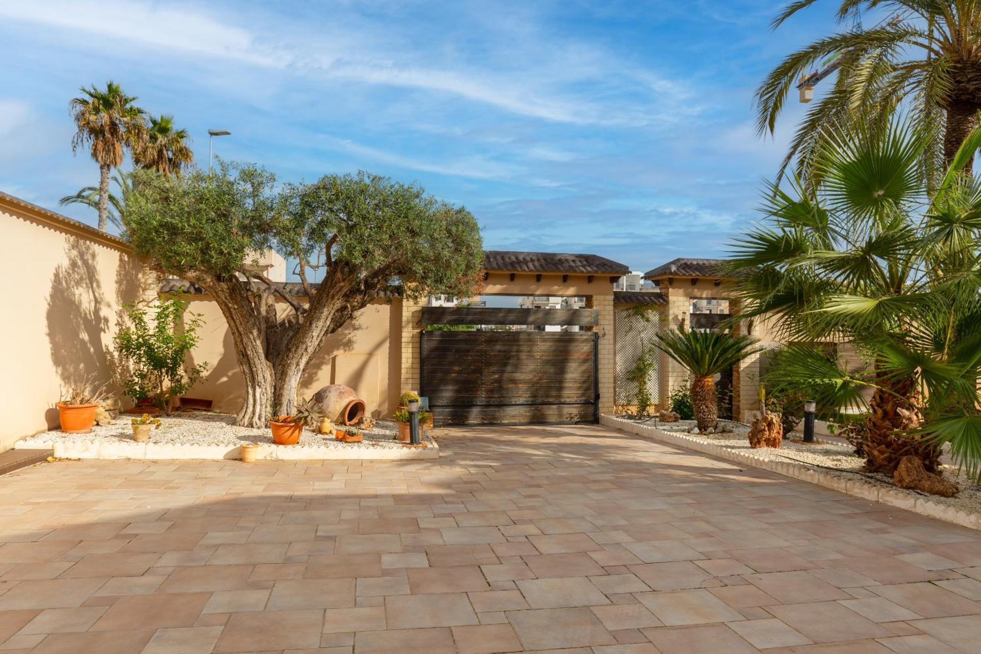 Paradise Palms By Fidalsa Dehesa de Campoamor (Orihuela Costa) Exterior foto